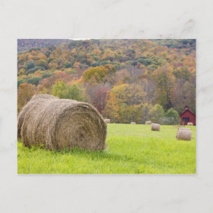 Hooibalen en herfstloof op boerderij, briefkaart