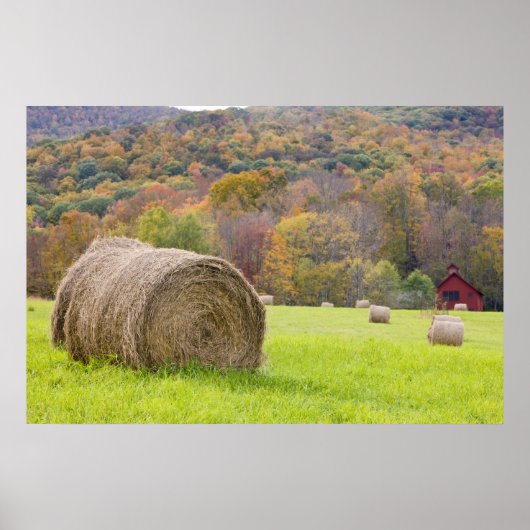Hooibalen en herfstloof op boerderij, poster (Voorkant)