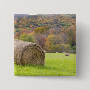 Hooibalen en herfstloof op boerderij, vierkante button 5,1 cm