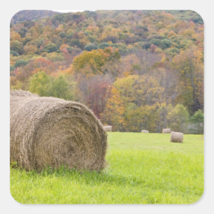 Hooibalen en herfstloof op boerderij, vierkante sticker