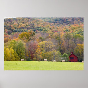 Hooibalen en herfstloof, op een boerderij in poster