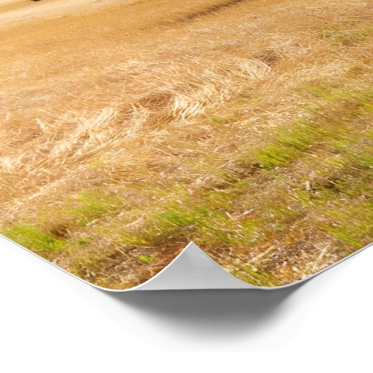 Hooibalen in de Herfst Poster (Hoek)