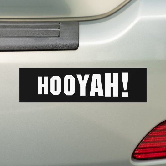 HOOIË! BUMPERSTICKER (Op auto)