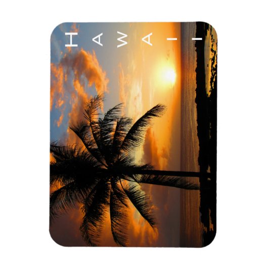 hooipalmzonsondergang magneet (Verticaal)