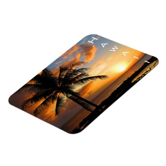 hooipalmzonsondergang magneet (Linkerzijde)