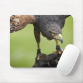 hooivogel muismat (Met muis)