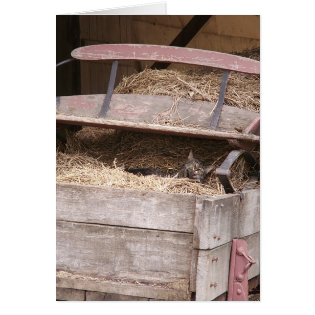 hooiwagen (Voorkant)