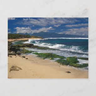 Hookipa Beach Maui Hawaii Briefkaart