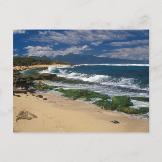 Hookipa Beach Maui Hawaii Briefkaart (Voorkant)