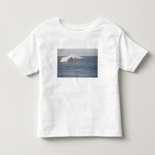Hookipa Beach Park, Noordkust van Maui, Kinder Shirts