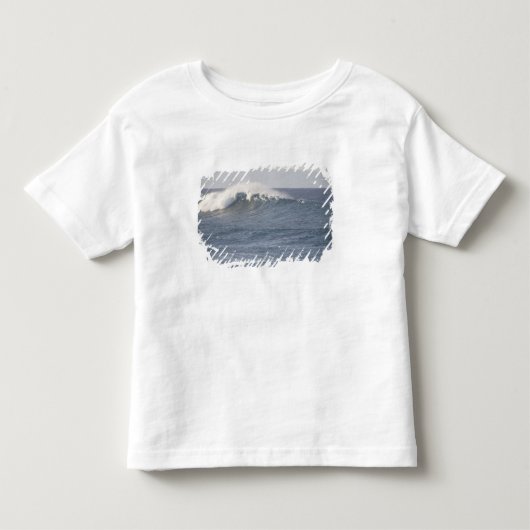 Hookipa Beach Park, Noordkust van Maui, Kinder Shirts (Voorkant)