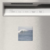 Hookipa Beach Park, noordkust van Maui, Magneet (Insitu (Vaatwasser))