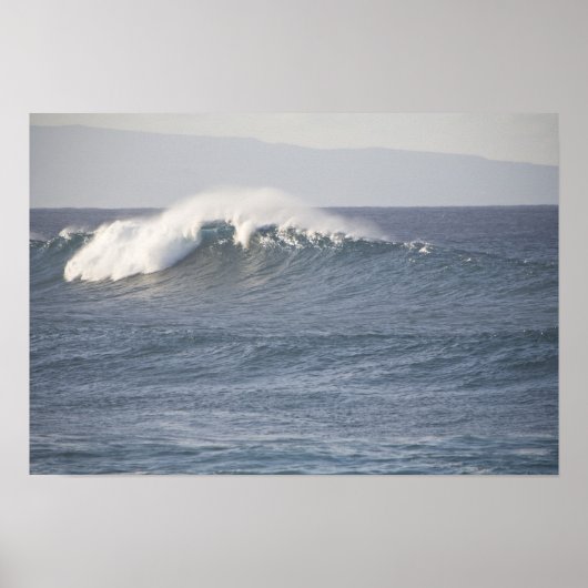 Hookipa Beach Park, noordkust van Maui, Poster (Voorkant)