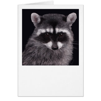 Hooligan Raccoon Kaart