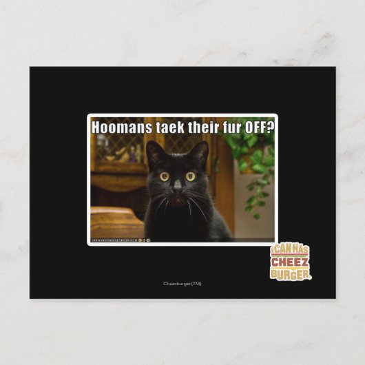 Hoomans maken daar bont af? briefkaart (Voorkant)