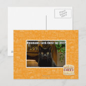 Hoomans maken daar bont af? briefkaart (Voorkant / Achterkant)