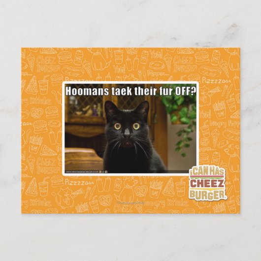 Hoomans maken daar bont af? briefkaart (Voorkant)