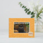Hoomans maken daar bont af? briefkaart (Staand voorkant)
