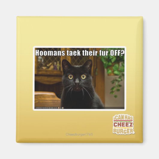 Hoomans maken daar bont af? magneet (Voorkant)