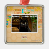 Hoomans maken daar bont af? metalen ornament (Voorkant)