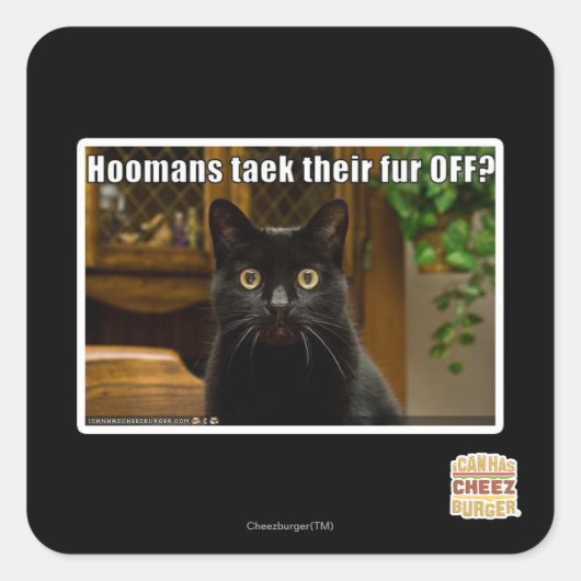 Hoomans maken daar bont af? vierkante sticker (Voorkant)