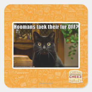 Hoomans maken daar bont af? vierkante sticker