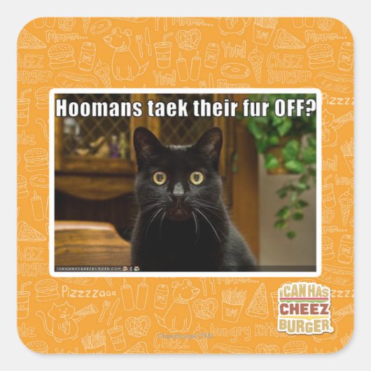 Hoomans maken daar bont af? vierkante sticker (Voorkant)