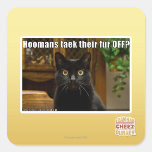 Hoomans maken daar bont af? vierkante sticker