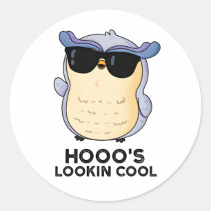 Hooo's Lookin Cool Funny Owl Pun Ronde Sticker