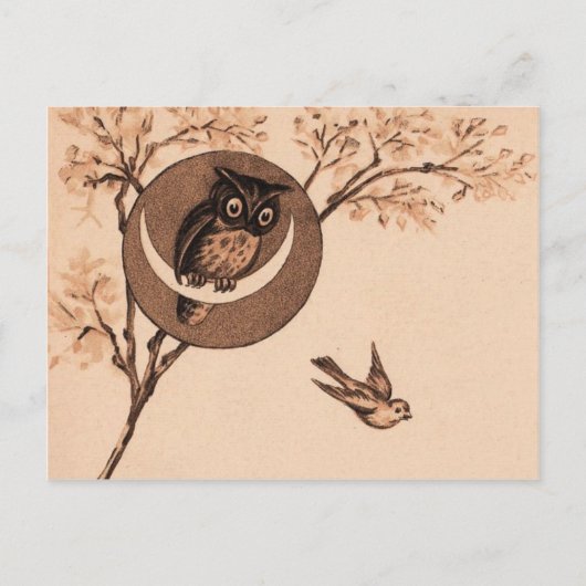 Hooot! Briefkaart (Voorkant)