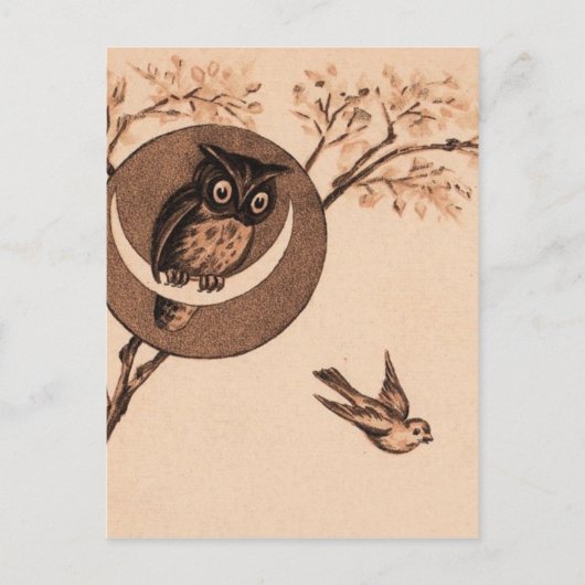 Hooot! Briefkaart (Voorkant)