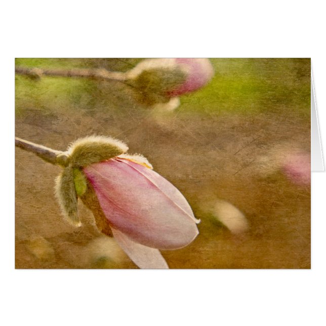 Hoop (Voorkant Horizontaal)