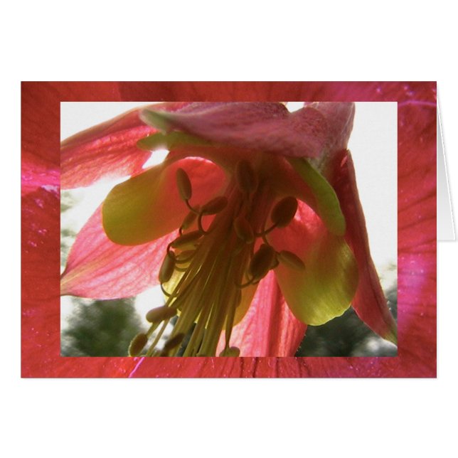 hoop (Voorkant Horizontaal)