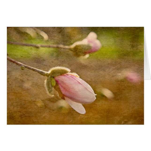 Hoop (Voorkant Horizontaal)