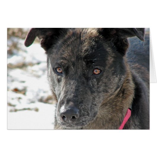 Hoop (Voorkant Horizontaal)