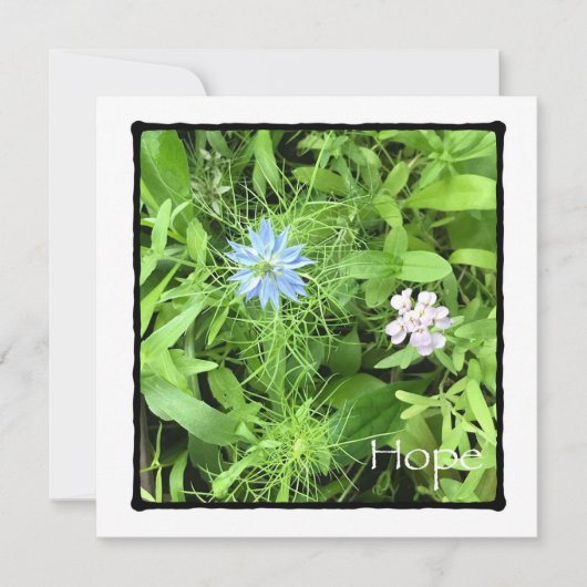 Hoop 5.25 x 5.25 Vierkant Kaart (Voorkant)