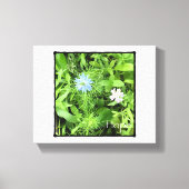 Hoop 8 x 10 canvas afdruk (Voorkant)