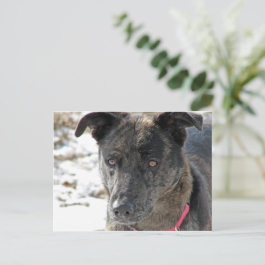 Hoop Briefkaart (Staand voorkant)