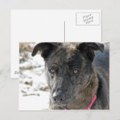 Hoop Briefkaart (Voorkant / Achterkant)