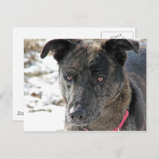 Hoop Briefkaart (Voorkant / Achterkant)