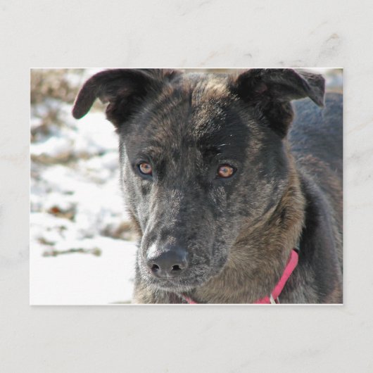 Hoop Briefkaart (Voorkant)