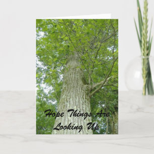 Hoop dat de dingen omhoog kijken kaart