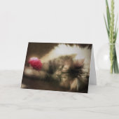 Hoop dat de zon schijnt in uw wereld vandaag (Kaar Kaart (Voorkant)