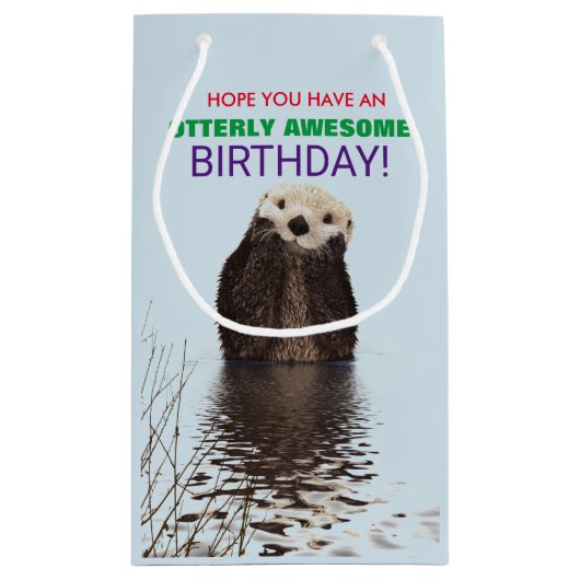 Hoop dat je een Geweldige verjaardag hebt Klein Cadeauzakje (Achterkant)