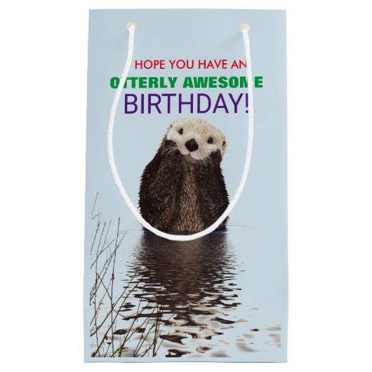 Hoop dat je een Geweldige verjaardag hebt Klein Cadeauzakje (Voorkant)