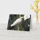 HOOP DAT JE NIEUWE HUIS COMFORTABEL IS = GEFELICIT KAART (Gele Bloem)