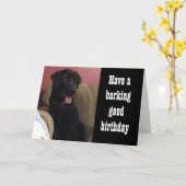 HOOP DAT JE "VEEL LEKKERS" KRIJGT **VERJAARDAG** KAART (Gele Bloem)