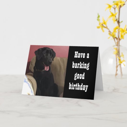 HOOP DAT JE "VEEL LEKKERS" KRIJGT **VERJAARDAG** KAART (Gele Bloem)