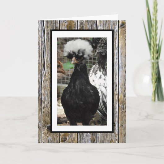 Hoop dat je verjaardag is Egg-Cellent, Grappig Kaart (Voorkant)