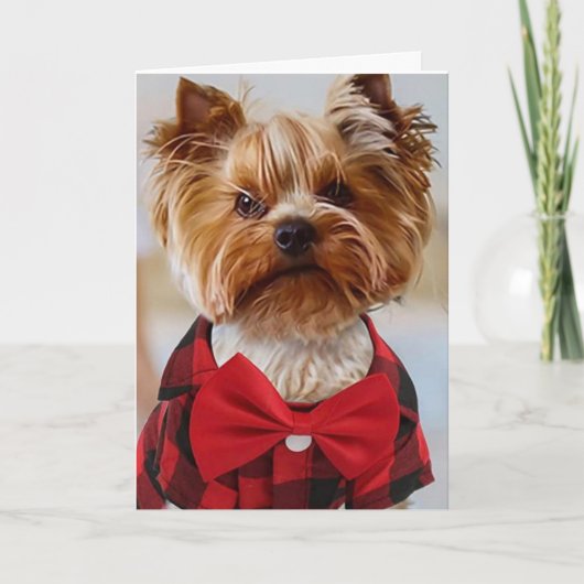 HOOP DAT UW BIRTHDAY SPECIAAL IS ZOALS JULLIE! KAART (Voorkant)